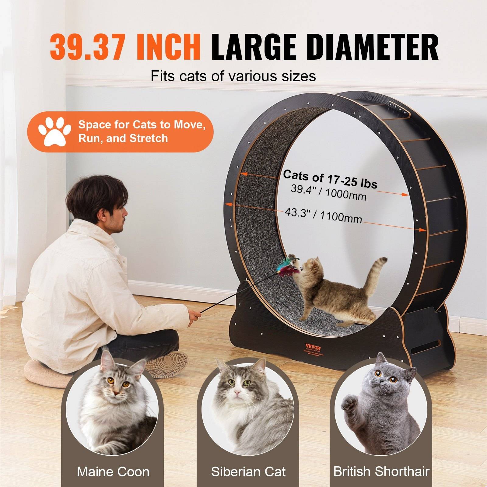 Cat Treadmill - Image 10
